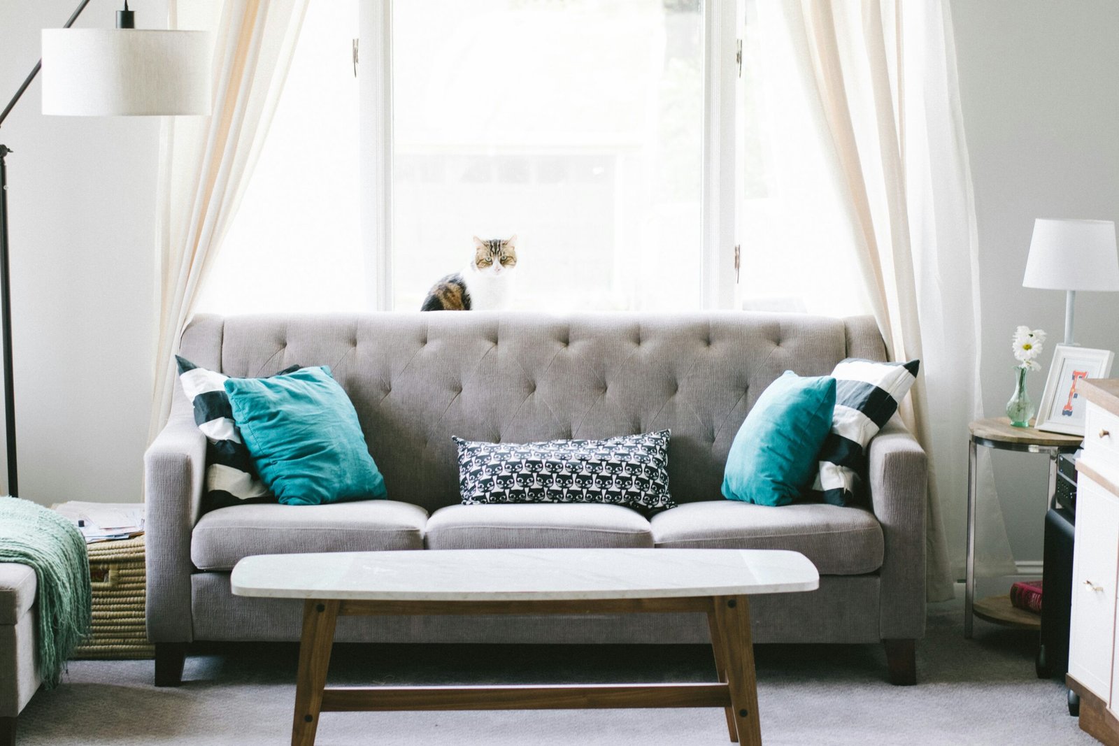 Azeem Sofa Carpet Cleaning: The Best Sofa Cleaning Services in Lahore